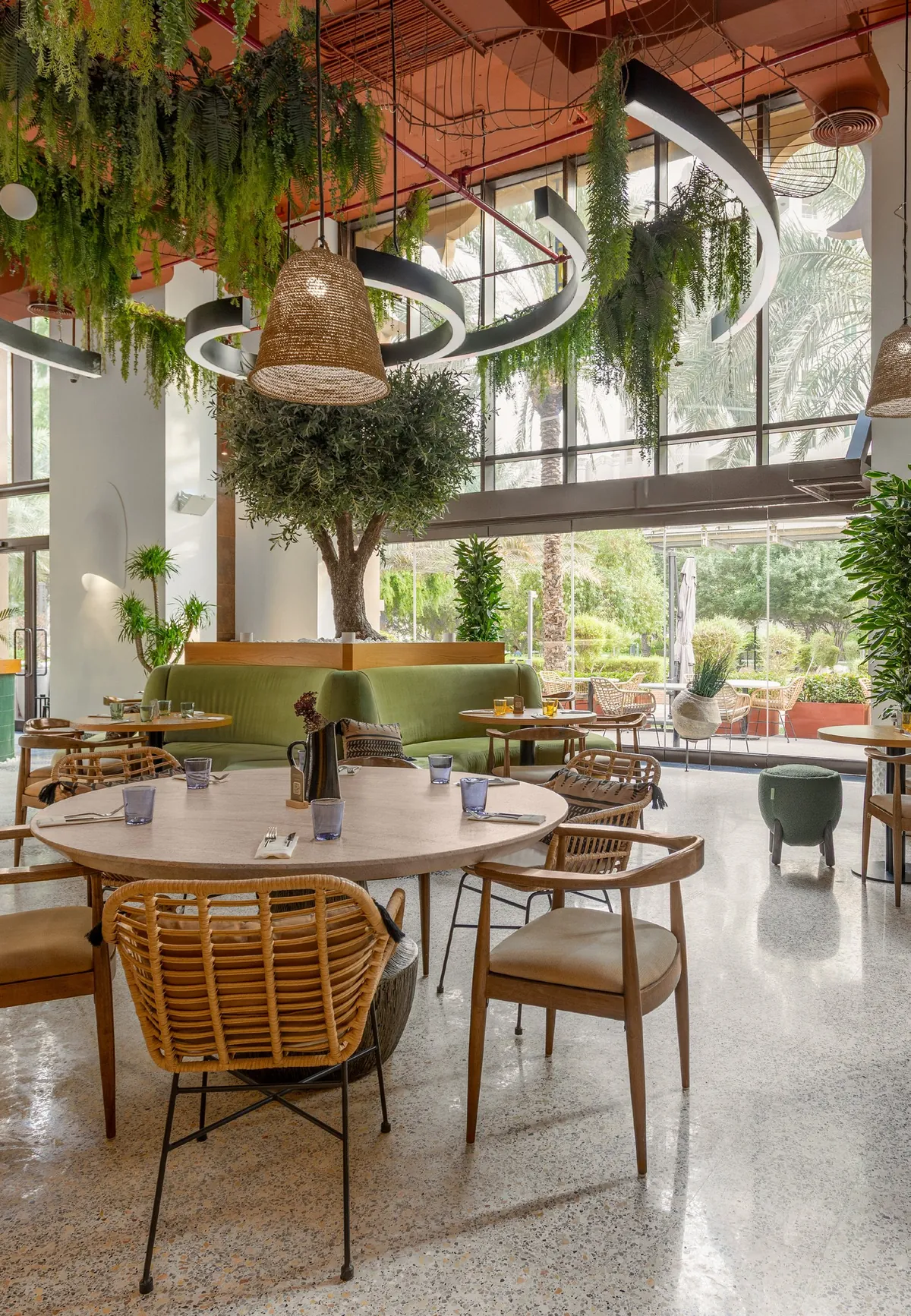 The dining room at Golden Mile with its olive tree, rattan chairs and hanging greenery